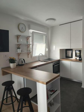Studio Apartment Tisa